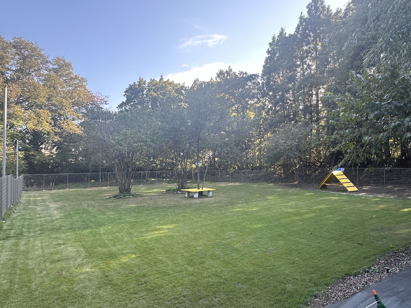 蔵王ドッグランド