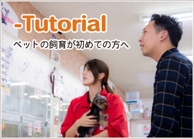 ペットショップ からつケンネル