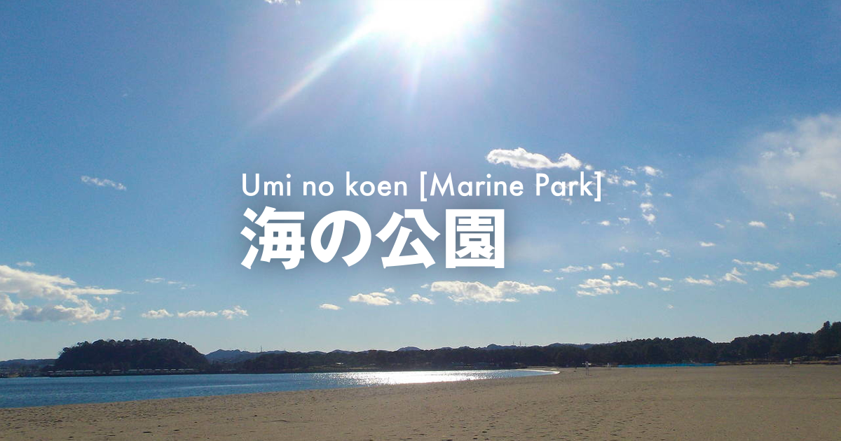 海の公園 犬の遊び場