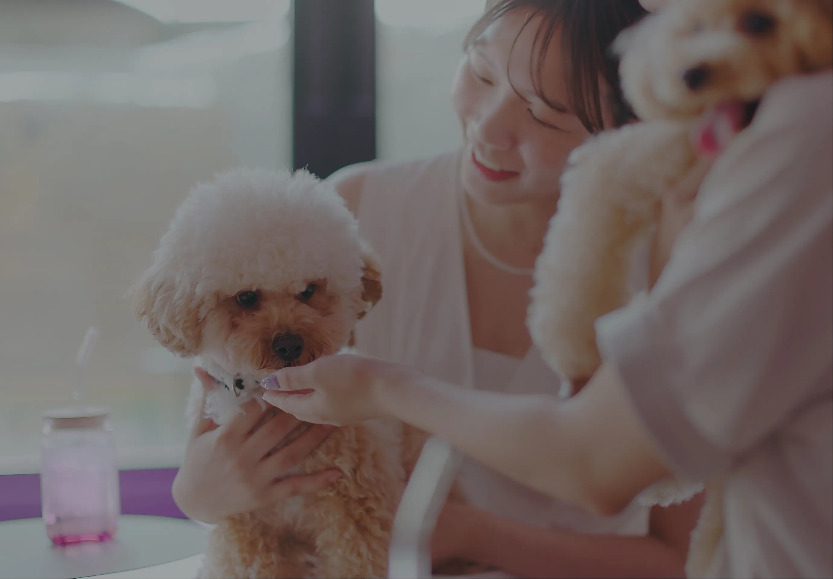 愛犬広場　神戸ドッグラン