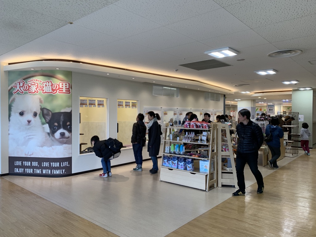 ペットショップ 犬の家＆猫の里 ゆめタウン姫路店