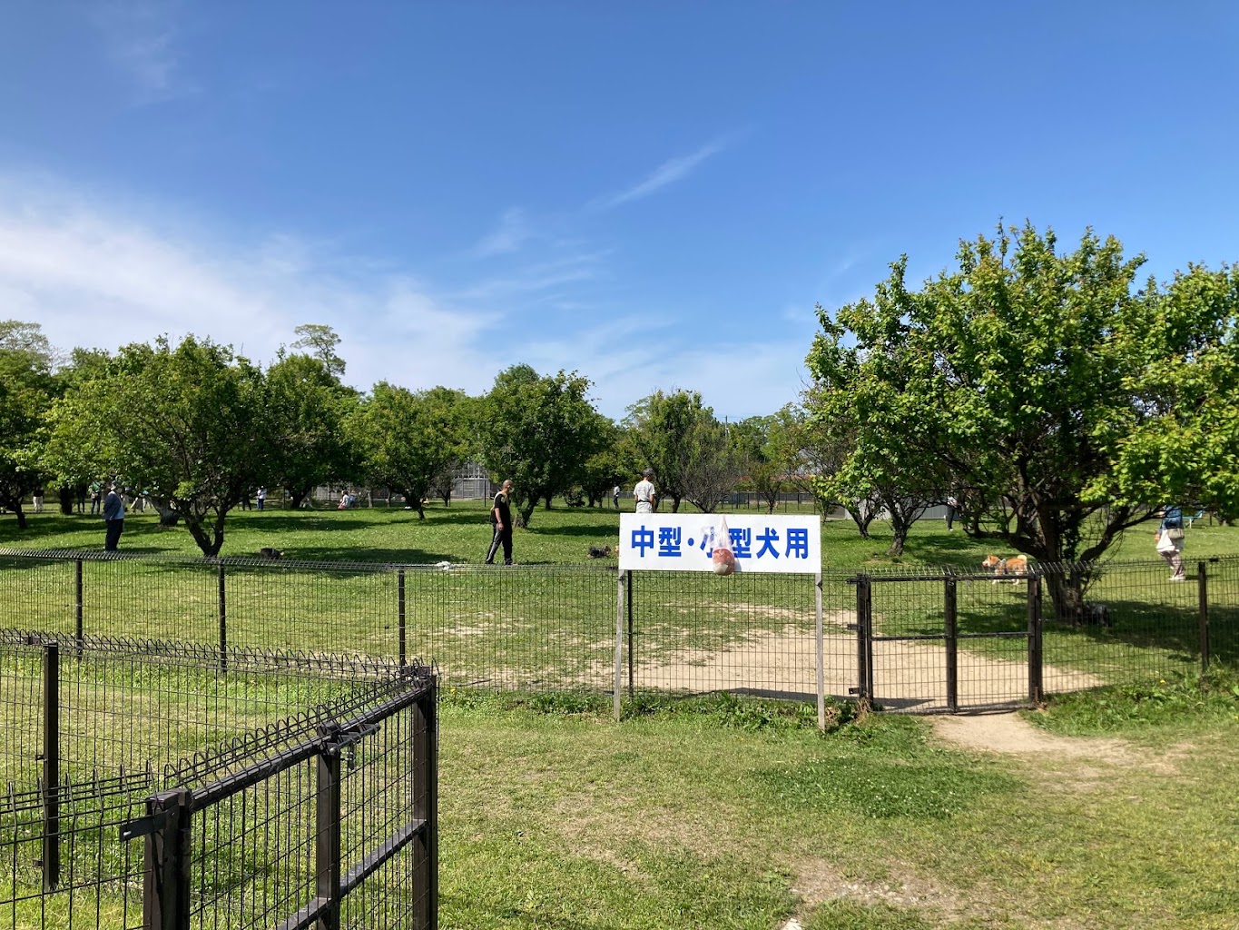 びわこ梅の郷ドッグラン