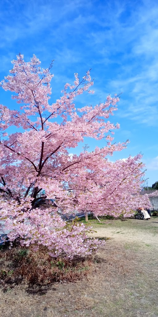 水軒公園 ドッグラン場