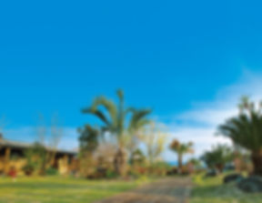 ファームリゾート糸島