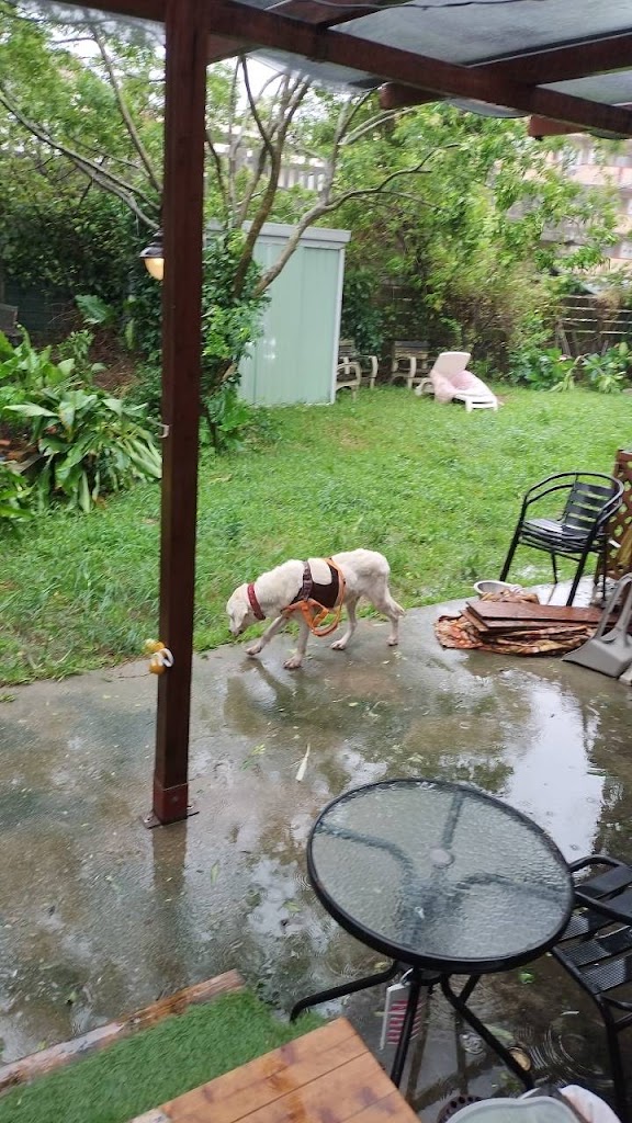 ドッグカフェ果林