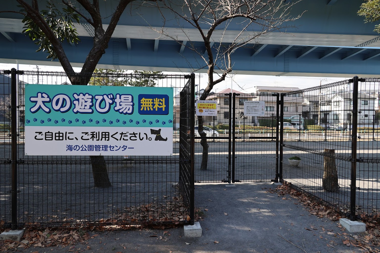 横浜海の公園内　犬の遊び場