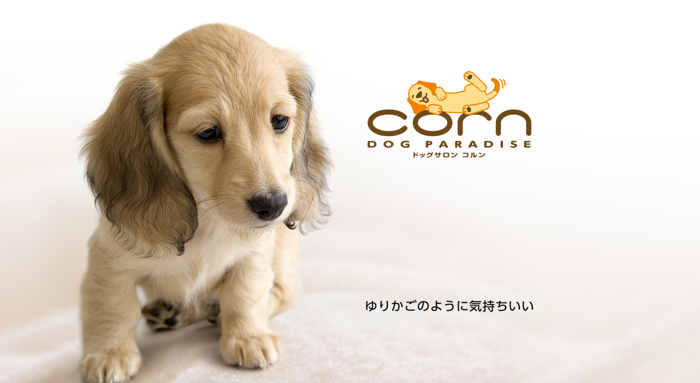 ドッグサロン・コルン