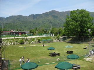 ホリデーアフタヌーン