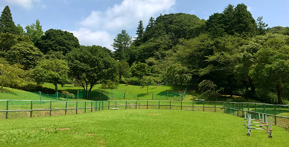 つま恋彩の郷 ドッグコミュニティ