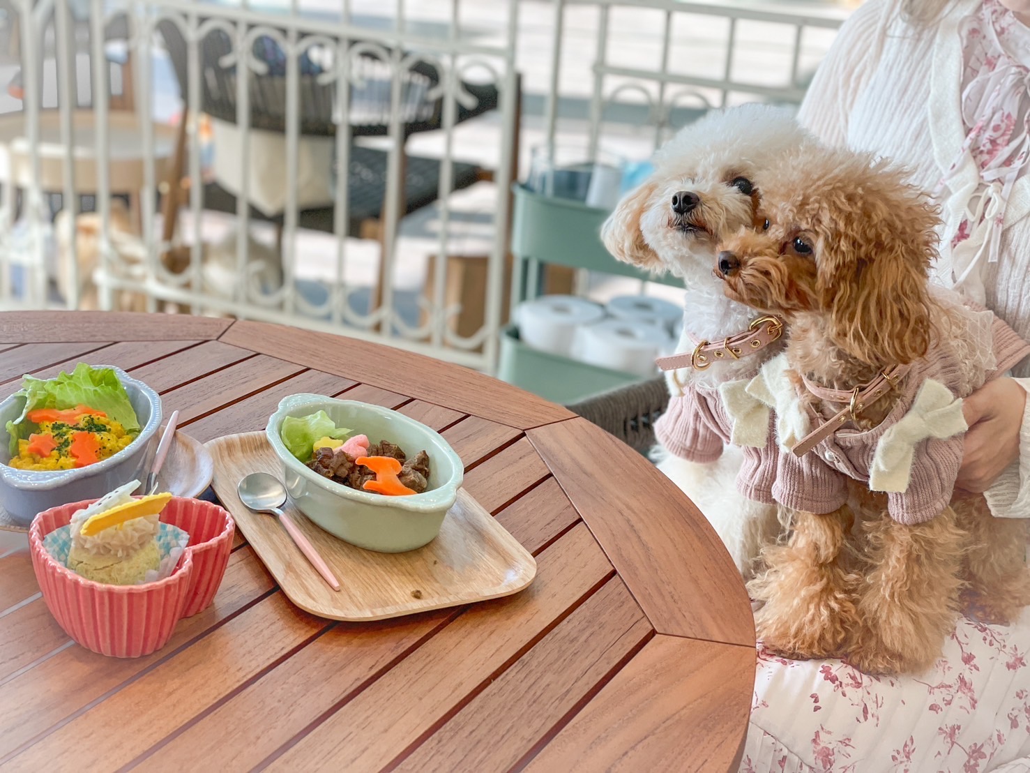 お犬さまパーク