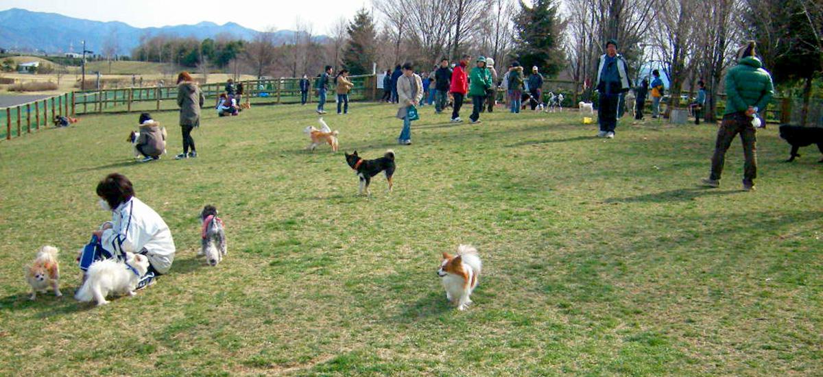信州スカイパーク ドッグラン