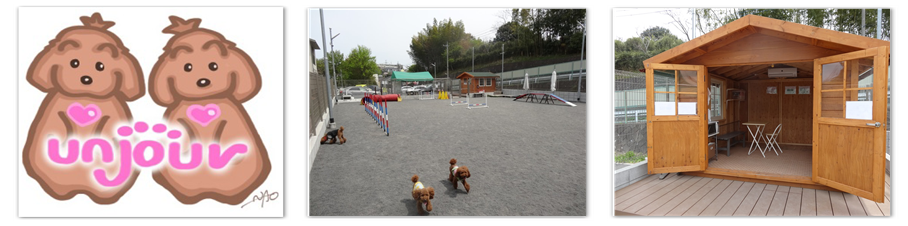 ドッグラン アンジュール