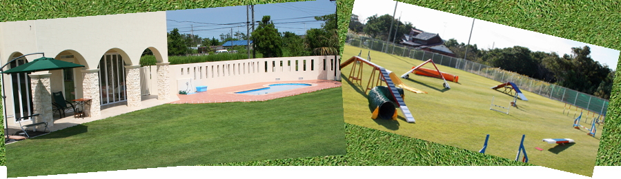 エルエー・ドッグスポーツフィールド