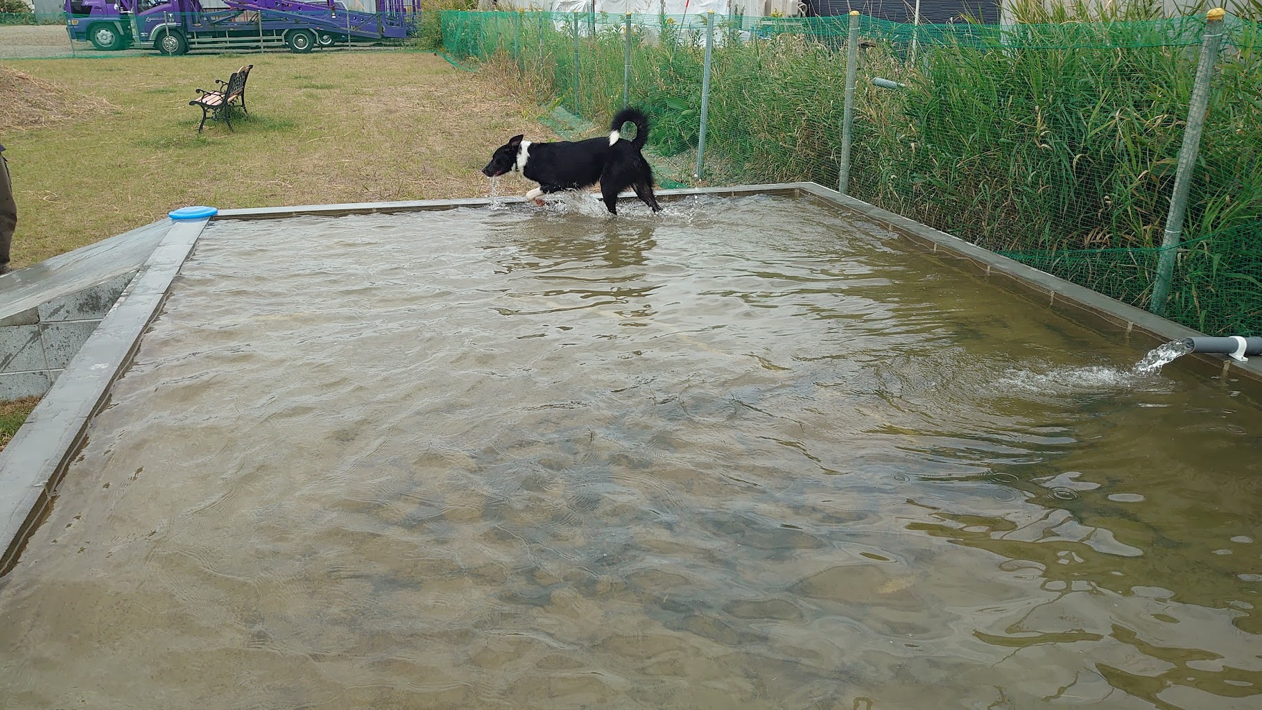 しんことにわんわんパーク