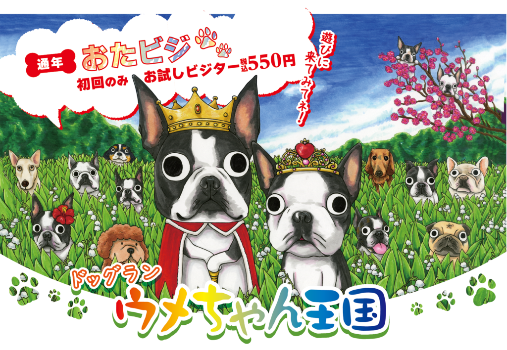 ウメちゃん王国