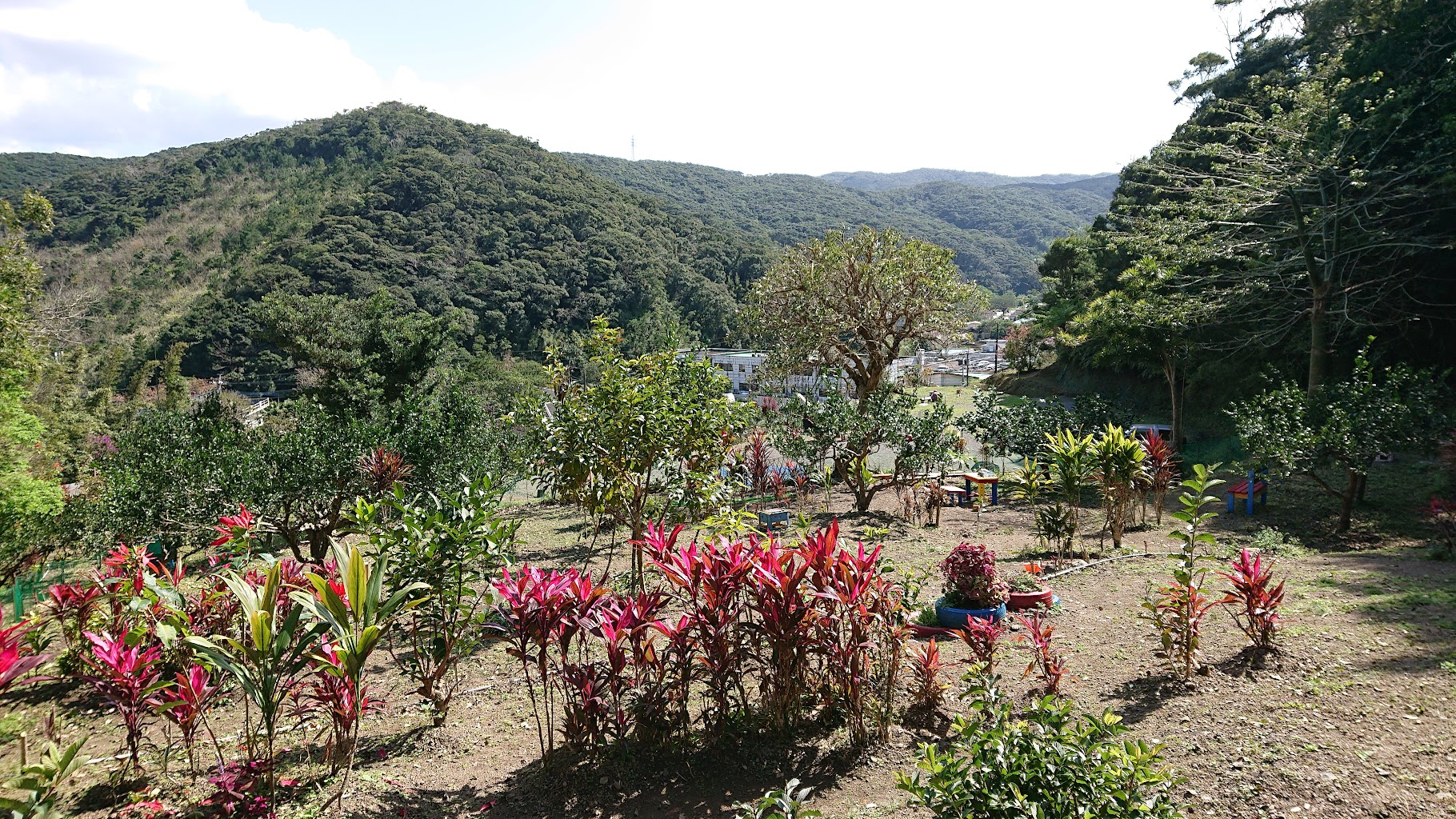 ワンちゃんの遊び場