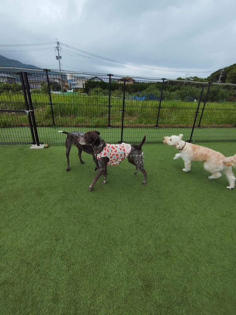 ドッグラン＆カフェゾーネ