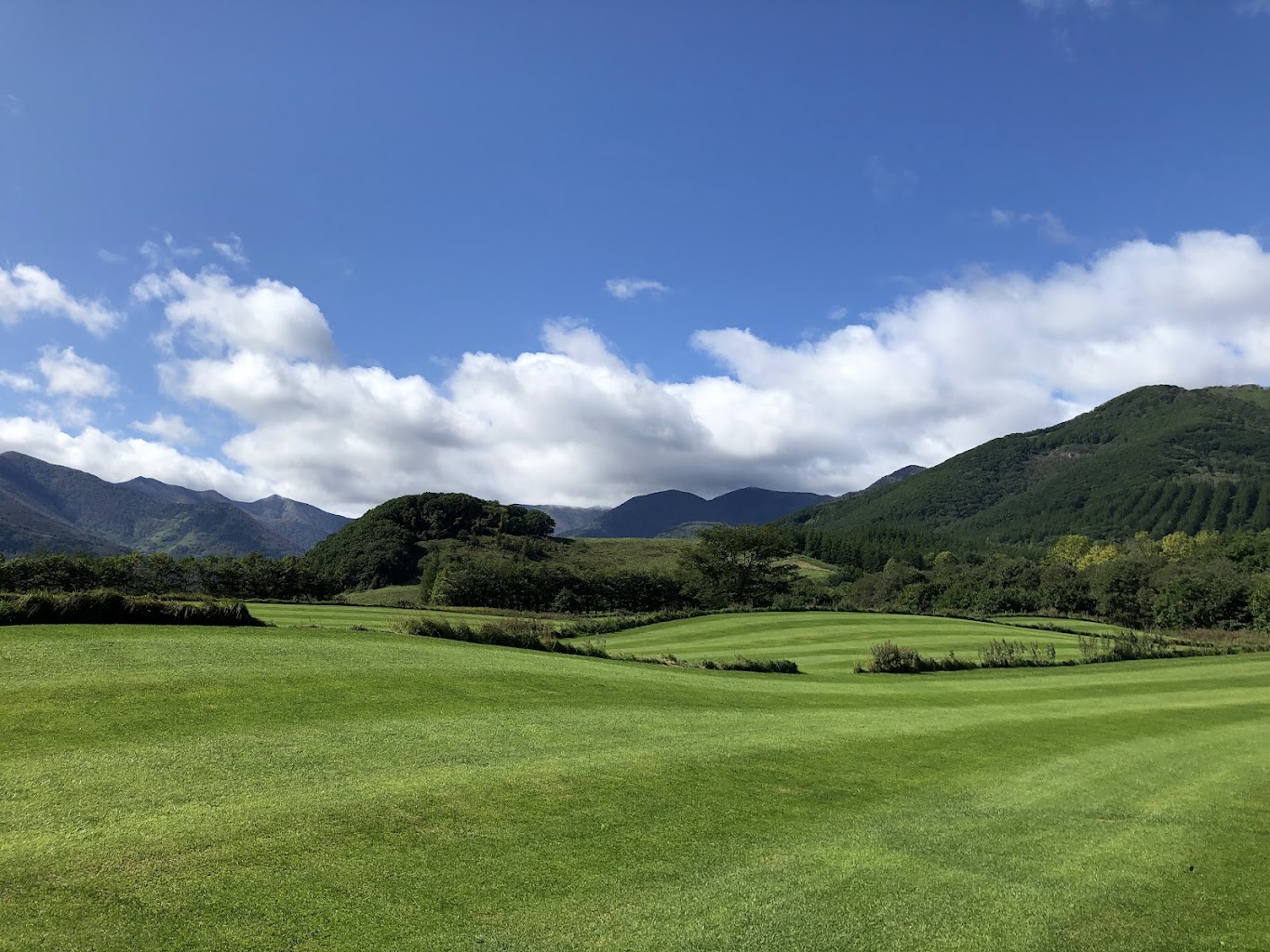 サネンコロの森ドッグラン