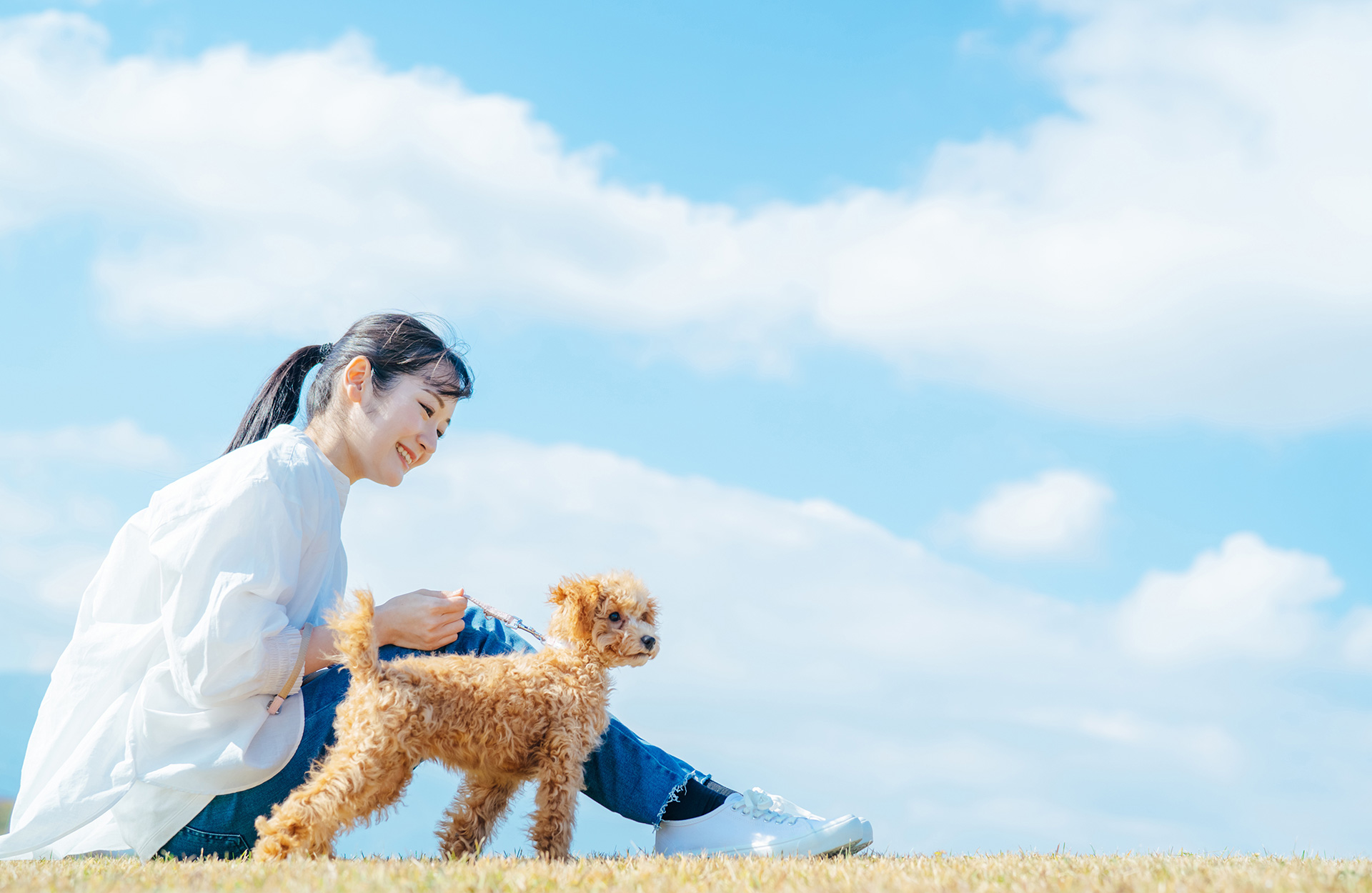ドッグランもぜもぜ