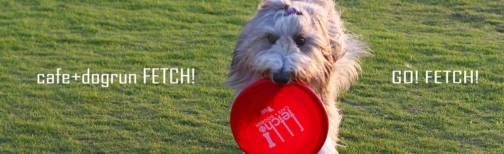 cafe+dogrun FETCH!