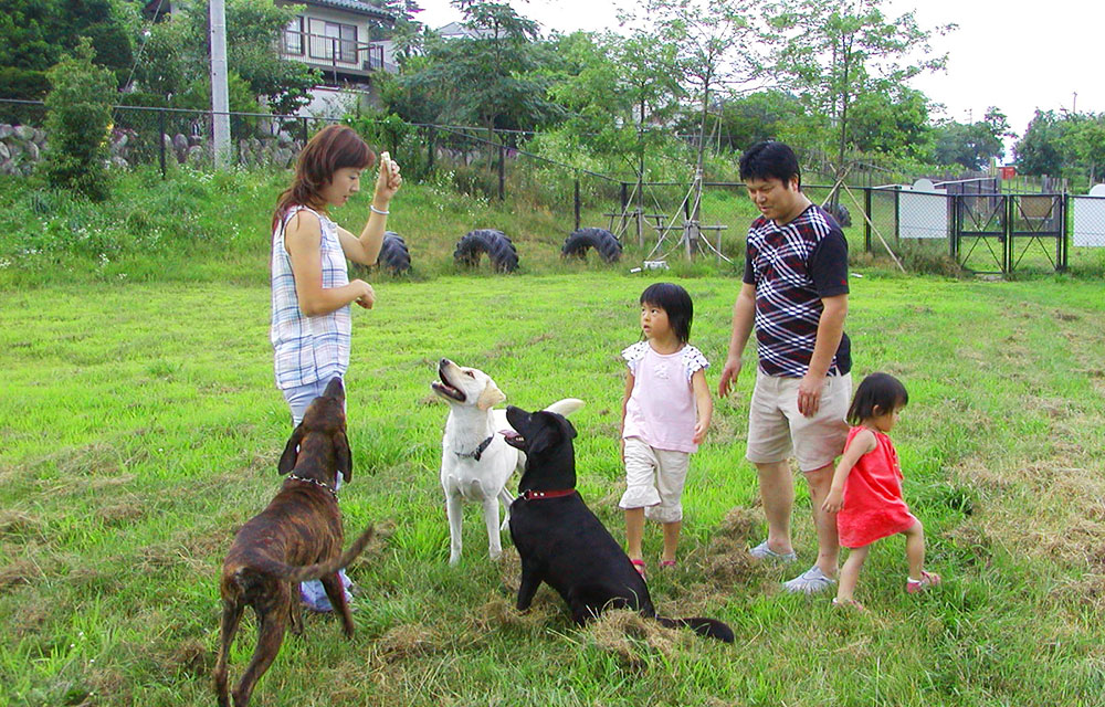 はびろ農業公園みはらしファーム ドッグラン