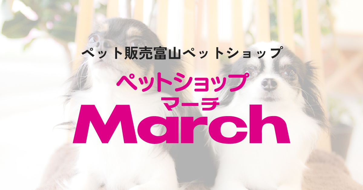 ペットショップマーチ 滑川店