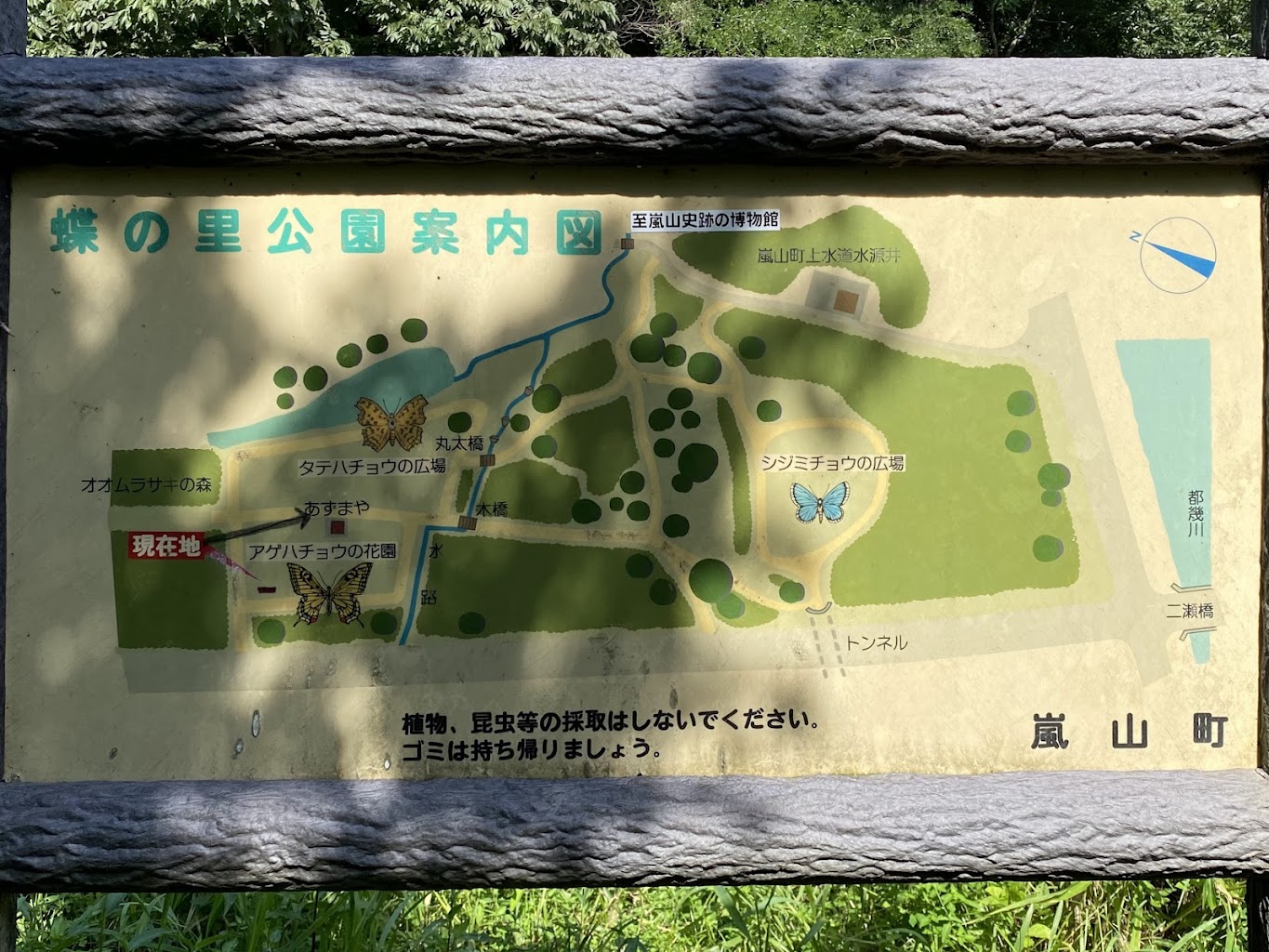 ドッグランおおむらさき