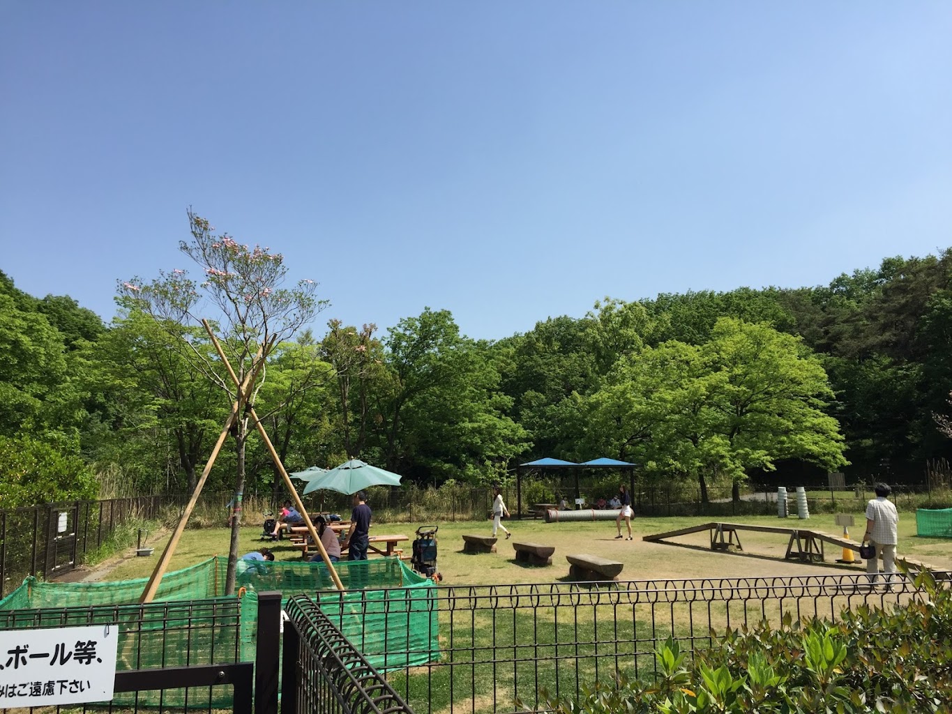 森林公園ドッグラン