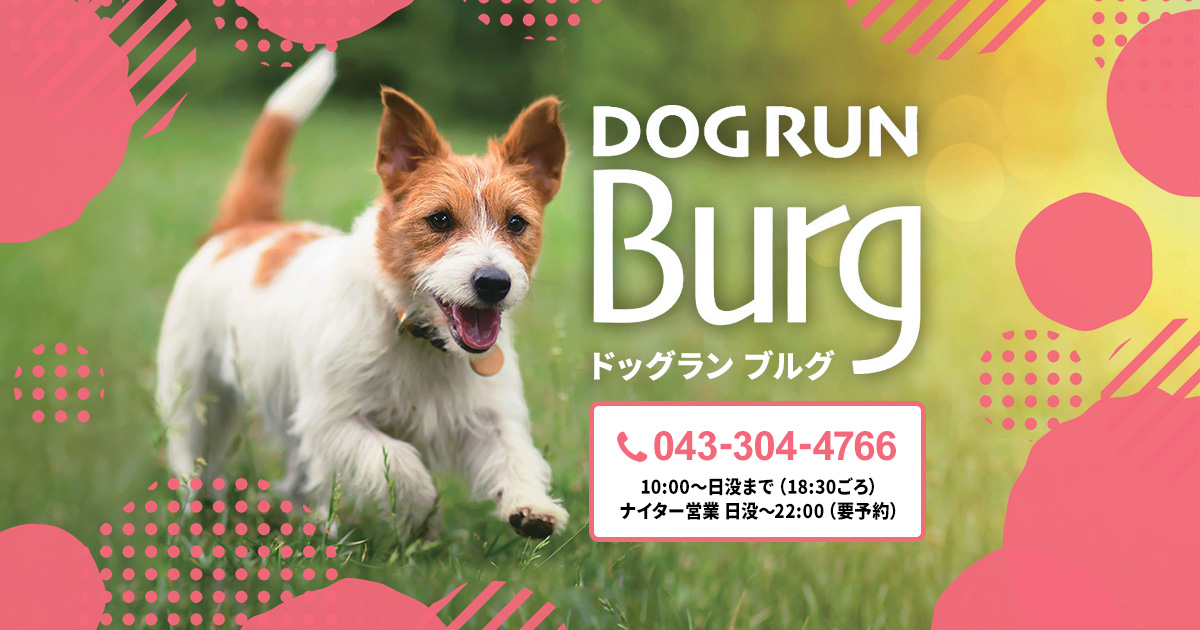 ドッグラン ブルグ