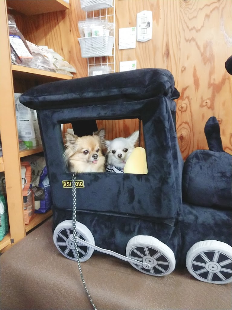 さつきドッグラン