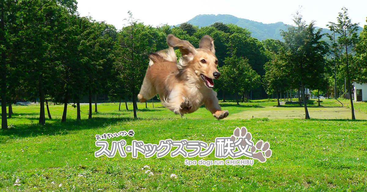 スパ・ドッグズラン秩父