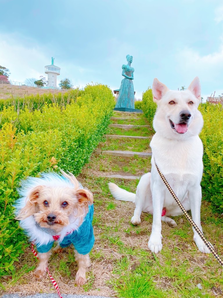 ドッグハウス－いっぽ－