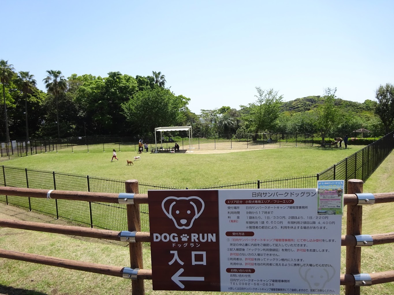 日向サンパークドッグラン