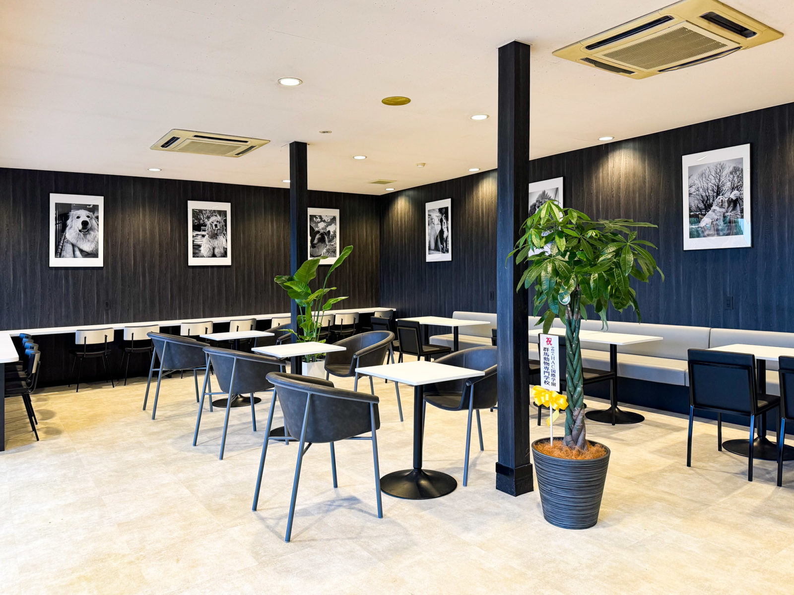 dogcafe CANDM（キャンドム）