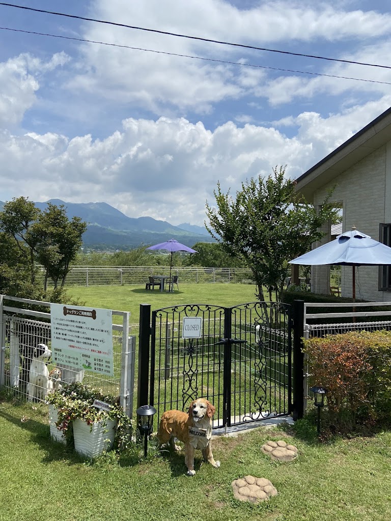 dog garden 南を翔る風