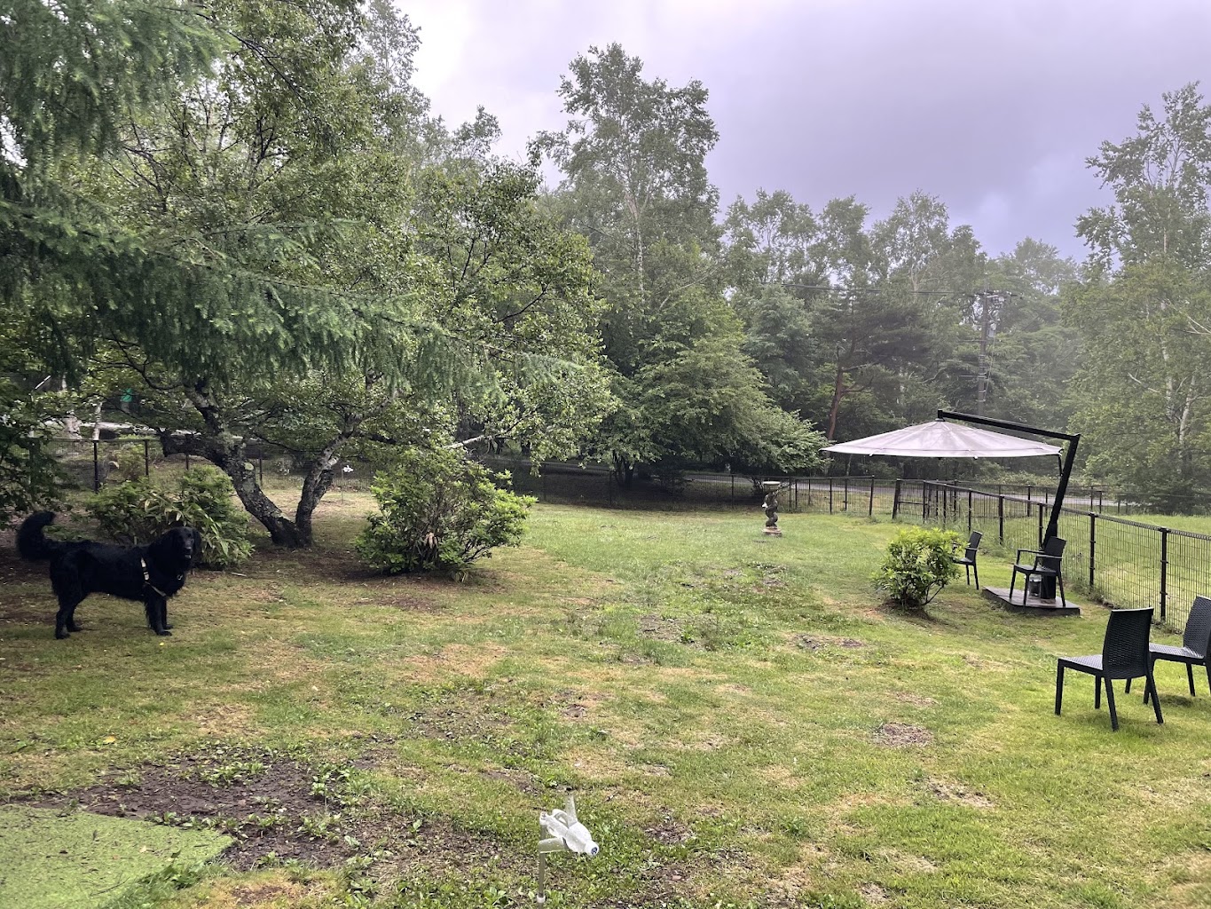 蓼科わんわんパラダイスコテージ dog park