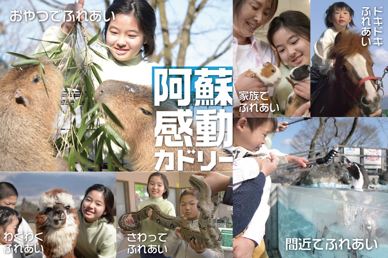 阿蘇カドリー・ドミニオン ドッグラン広場