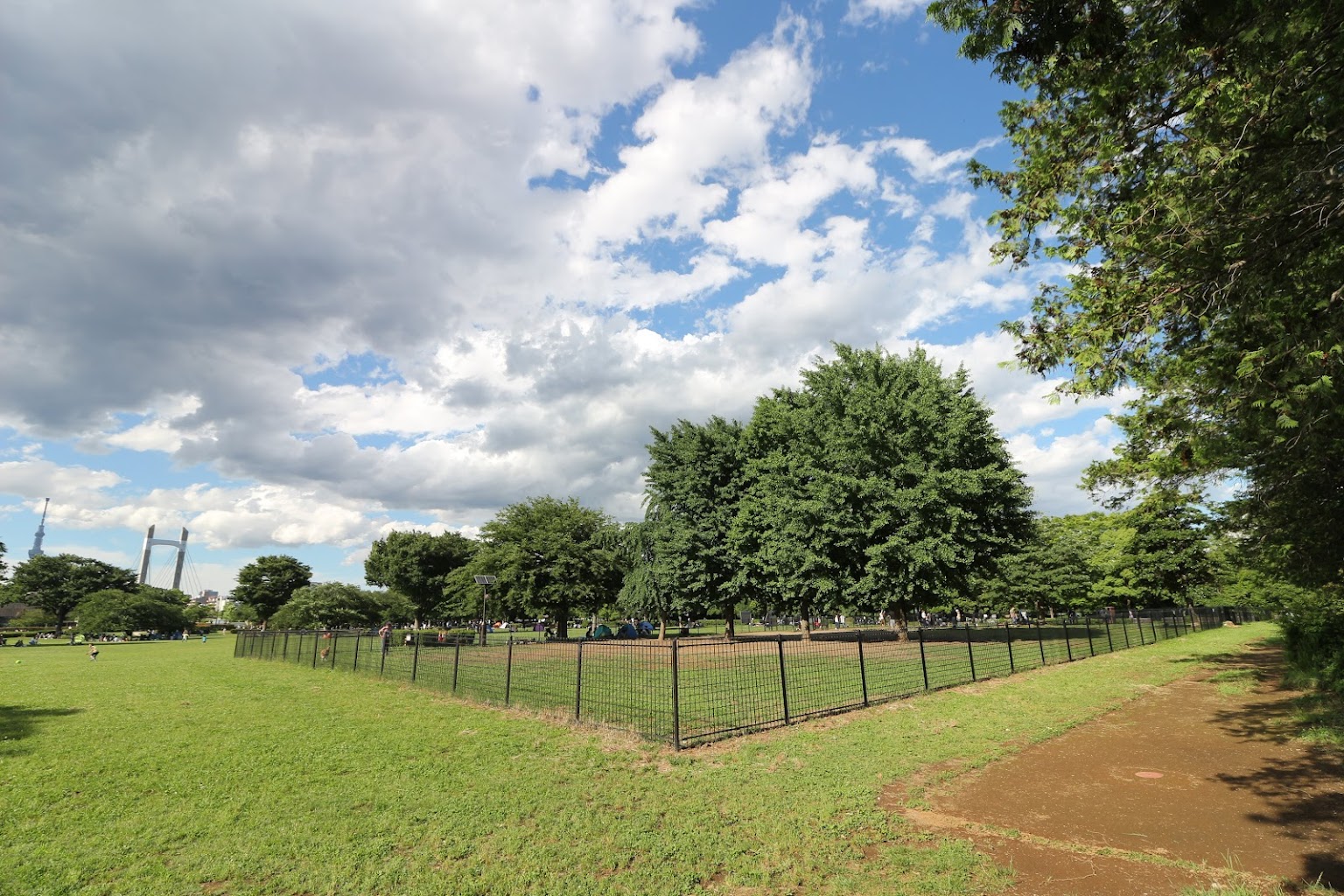 木場公園ドッグラン