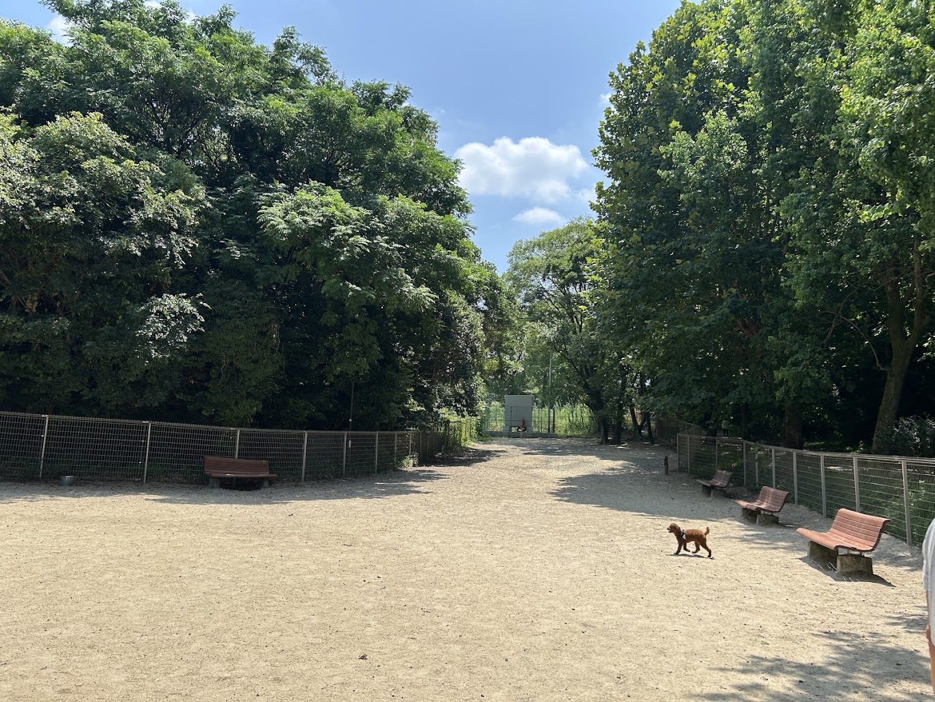大高緑地ドッグラン