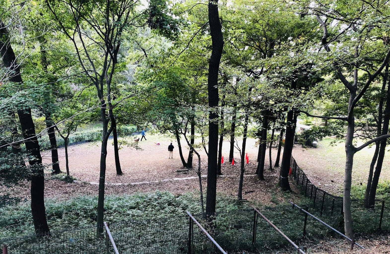 小山内裏公園 わんわん広場