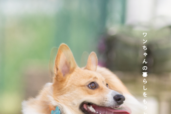 東京ドギーズガーデン