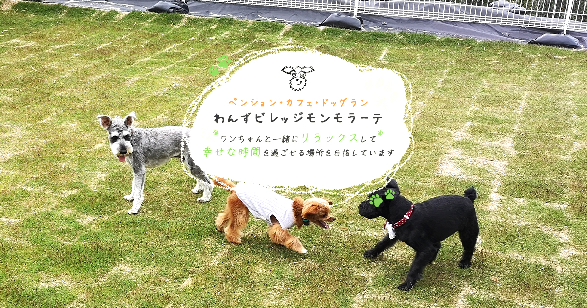 わんずビレッジ モンモラーテ