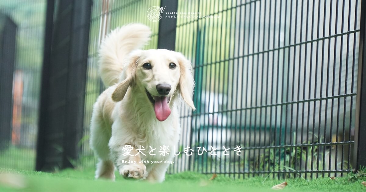 ドッグにグッドなグランピング和歌山北