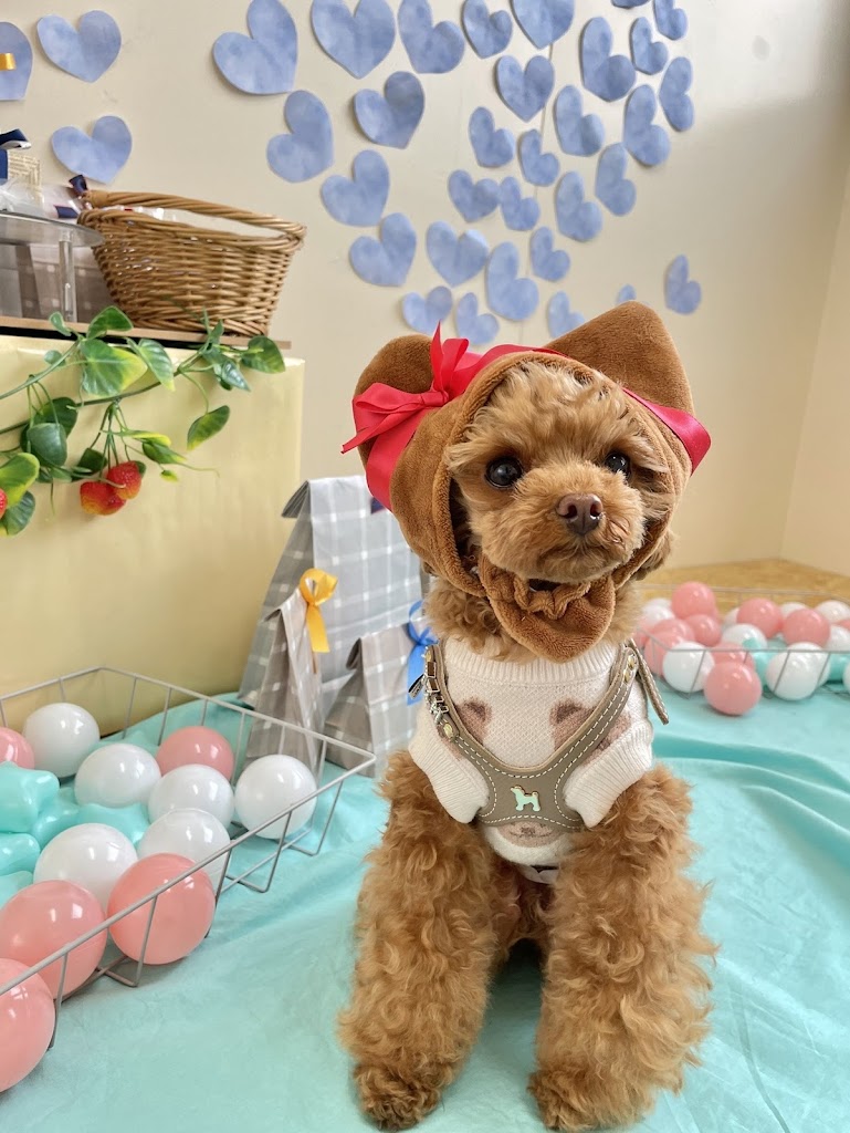 花陰（ハナカゲ）