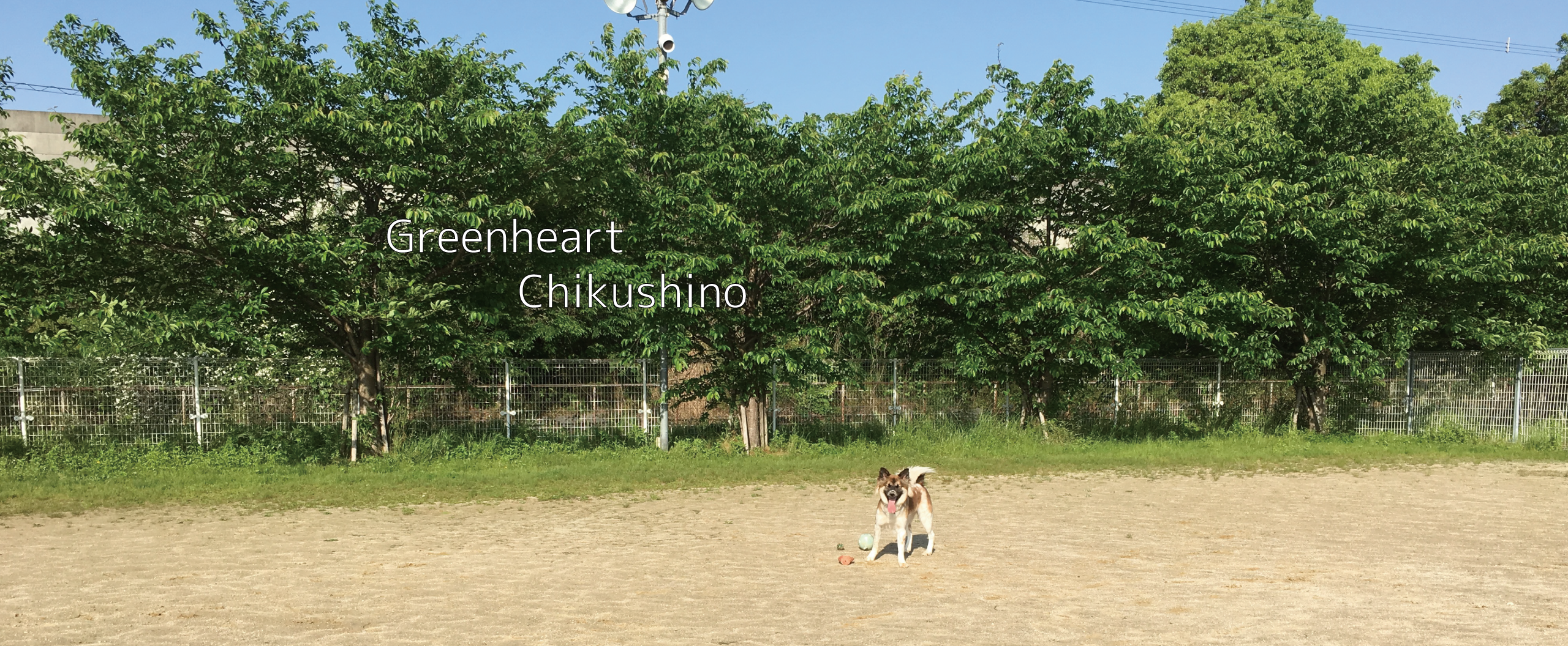 グリーンハート筑紫野