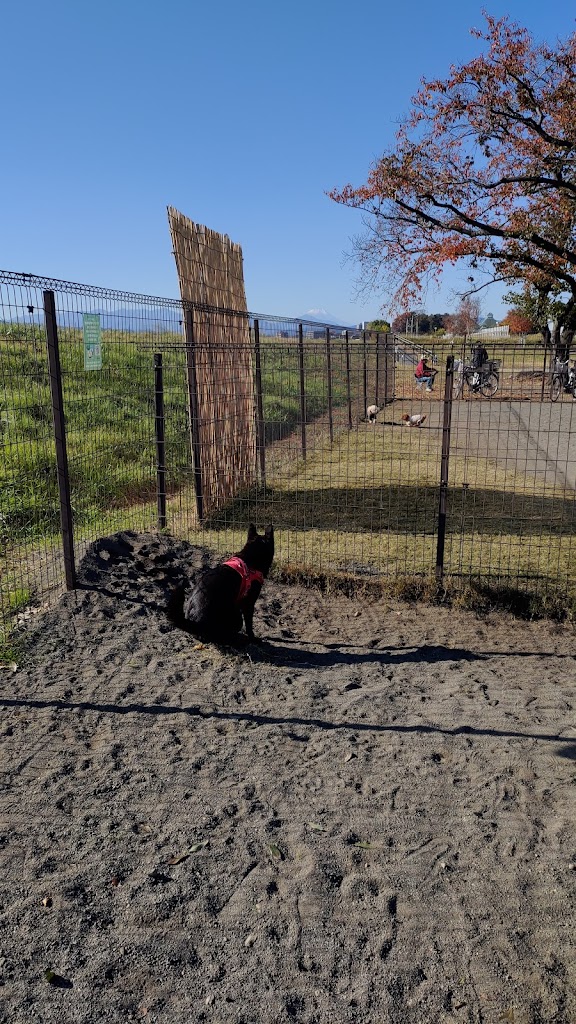 日野市営ドッグラン わんパークひの