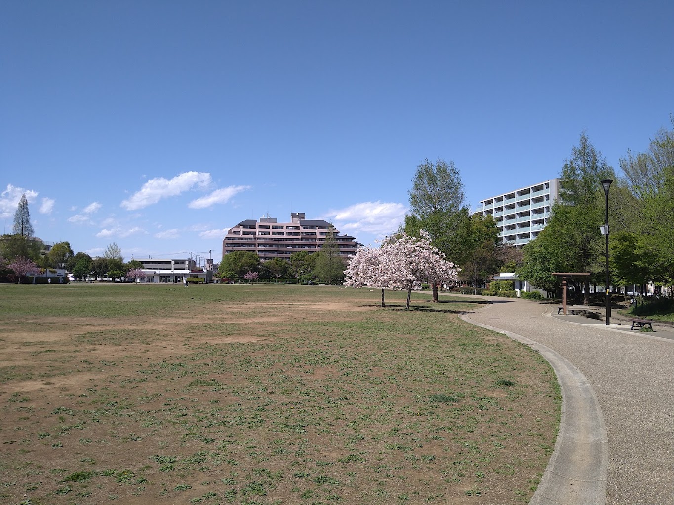 桃井原っぱ公園　ドッグラン