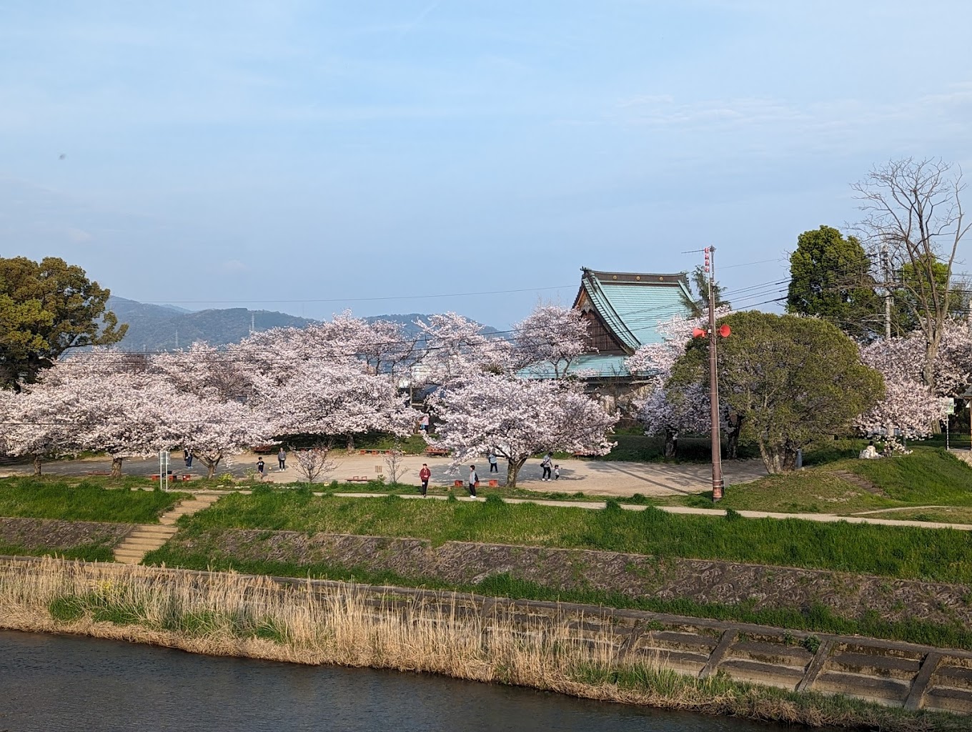石手川緑地「わんパーク」