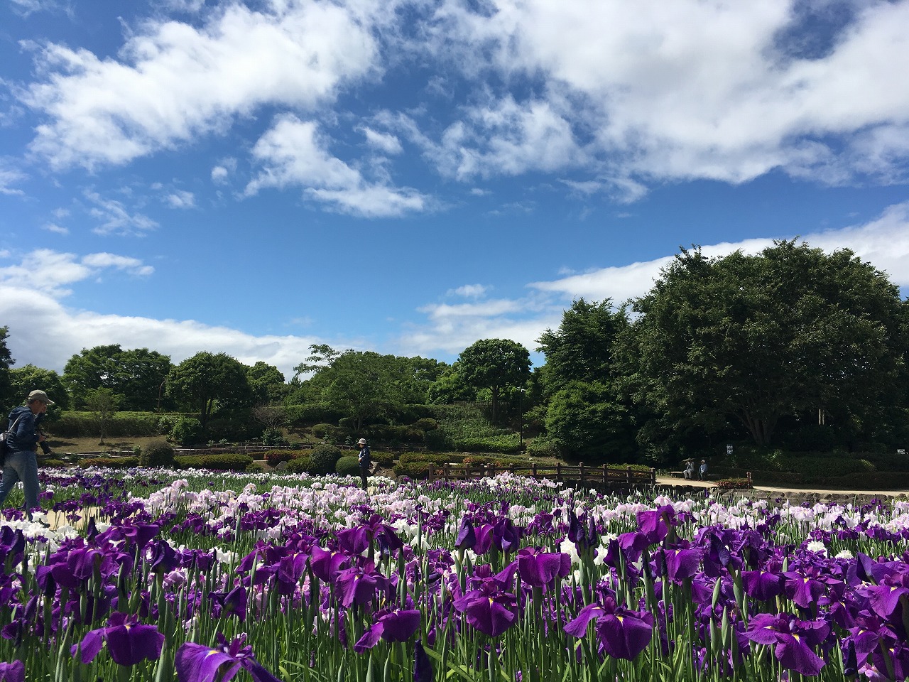 県立相模原公園　ドッグラン