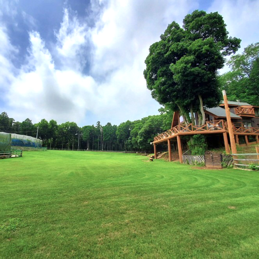 つくば犬たちの森ドッグラン・キャンプ場